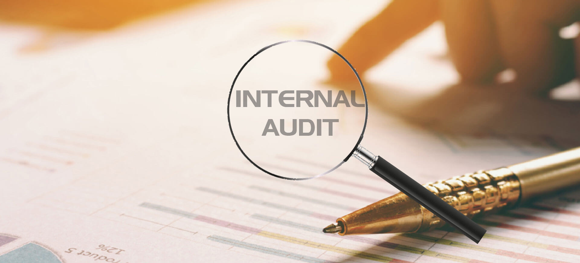 Internal Audit